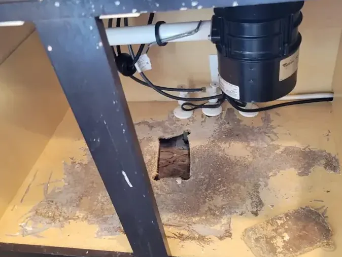 Water-damaged cabinet base opened beneath sink plumbing